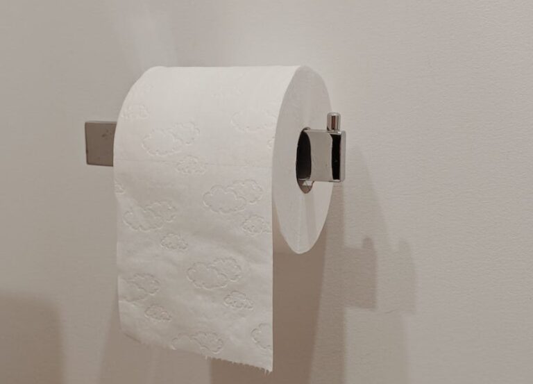 What Is The Circumference Of A Toilet Paper Roll Businessinfomag